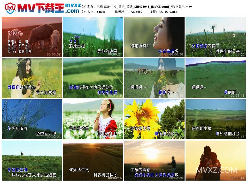 王璐-落地生根_国语_民歌_MB405948